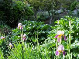 Milton Park Australia Milton Park Australian Garden Bowral