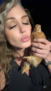 Favorite layer feed for chickens?