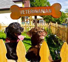 Maybe you would like to learn more about one of these? Highlands Animal Clinic Home Facebook