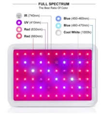 You may be familiar with the brand galaxyhydro. Roleadro Led Grow Lights Review 2021 How Good Is It Herbhacker Com