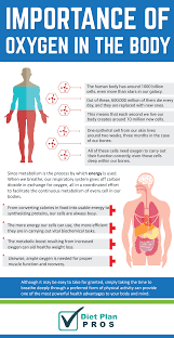 Pin On Diet Plan Pros Infographics