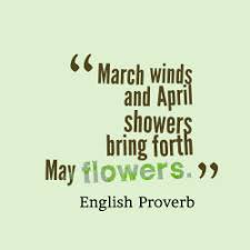 March Spring Warm Weather Flowers Spring Showers March April May Daffodils Tulips Easter Spring War March Quotes April Quotes Month Of March Quotes