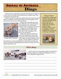 Animals Of Australia Dingo Worksheet Education Com Australia Animals Australian Animals Dingo
