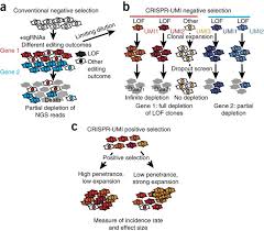 Any reference to corporation in this act means any body corporate formed or incorporated or existing in malaysia or. Crispr Umi Single Cell Lineage Tracing Of Pooled Crispr Cas9 Screens Nature Methods