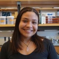 200+ "Beauchamp" profiles