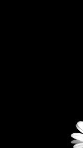 Looking for the best wallpapers? 76 Wallpapers Black On Wallpapersafari