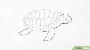Untuk mendownload gambar hitam putih dalam ukuran besar,. 4 Cara Untuk Menggambar Kura Kura Wikihow
