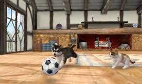 All the breeds from the original nintendogs games return . Money Cheats For Nintendogs And Cats 3ds