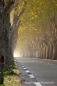 Pin By Raelynn On F R A N C E Provence Places To Travel France Travel