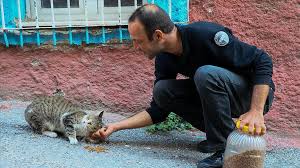 Sokak Hayvanlarini Doyurmak Icin Motosikletiyle Izmir I Turluyor