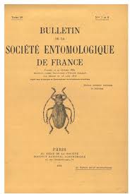 Image result for Chrysochloa