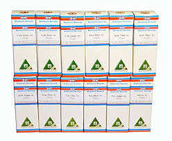 Economy Pack Tissue Cell Salt Kit All 12 Schussler Cell