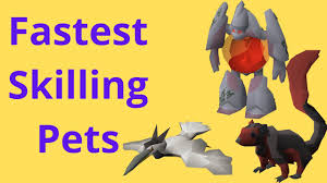 Already going to have 99 con and craft. Fastest Skilling Pets Osrs 2020 Best To 99 And Post 99 Youtube