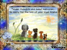 Loss of a pet dog poem… Pet Loss Gifs Get The Best Gif On Giphy