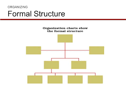 Different Types Of Organizational Structures A Deatiled