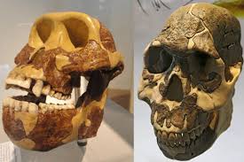 Onlyfans milena laplassotte it is likely that she is better