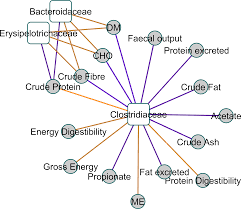 Image result for Bacteroidaceae
