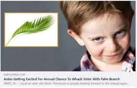 BABYLONBEE.COM Aidan Getting Excited For Annual Chance To Whack Sister With  Palm Branch AMES, IA Local six- six-year-old Aidan Thompson is greatly  looking forward to the annual oppo...