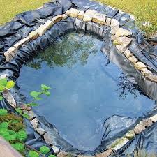 To install a pond you may buy a pond kit, which will include all the needed components. How To Build A Frog Pond In Your Backyard Scout Life Magazine