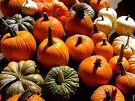 If you fail, then bless your heart. The Month Of October Quiz 10 Questions