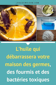 Epingle Sur Astuces Et Hacks Maison
