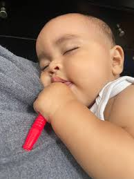 Cute pets make epic music videos together