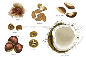 Fruits Secs Souvent Appeles Noix Ces Fruits Possedent Generalement Une Enveloppe Dure Et Seche La Coque Qui Renferm Fruits Secs Alimentation Nourriture