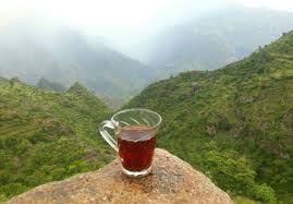 صور من بلادي اليمن