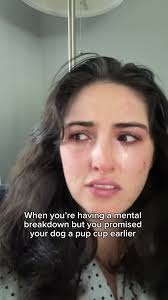 Dairy Queen Closes in 10 Minutes Golden Retriever