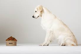 diabetic dog food benefits and