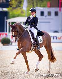 Show descendantsshow marelineadd childnewsmore infophoto gallery. Smooth Return For Werth And Bella Rose Win 2021 Cdi Mannheim Grand Prix For Special
