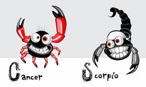 When you reflect on this pairing, think of a highly intelligent couple that is curious about the world around them. Cancer And Scorpio Is It A Bad Idea For These Signs Astronlogia