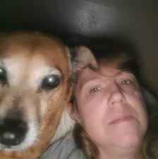 Last week, the Wisconsin Humane Society Green Bay Campus received 70+ cats;  one group of 55 came to us as a private surrender, and another group of 20  strays were brought in