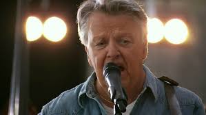 WILD WHENS Captain in the sand (E.M.Kristensen)