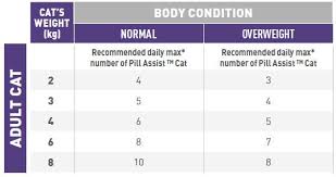Kitty kat sensual enhancement make the kitty go silly. Royal Canin Pill Assist Cat Adult Dry Treat 45g
