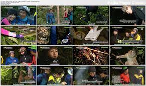 We did not find results for: 140404 Law Of The Jungle In Borneo Onew Episode 1 Full Cut Blingdinosaur