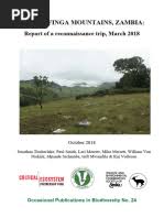 Image result for Erianthemum schelei