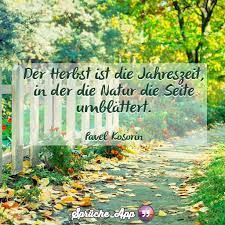 Hol Dir Spruche Und Zitate Auf Bildern Kostenlos Auf Dein Handy Healthcare Workers Quotes Autumn Quotes Health Insurance Humor