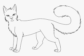 Sweet and fluffy, these kitten coloring pages will satisfy your cuteness quotient. Printable Warrior Cat Coloring Pages Hd Png Download Kindpng