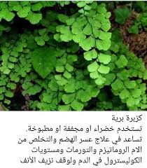 pin by abomohammad on نصائح ووصفات خاصة herbs parsley food