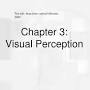 Visual Perception ppt from www.slideserve.com
