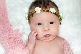 Profile for Amanda Kruttlin Photography