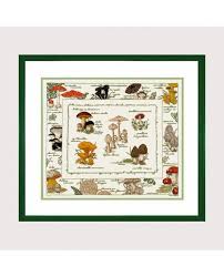 Une jolie carte gratuite à imprimer, compléter et à offrir à sa famille pour noel. Les Champignons Kit Point De Croix Le Bonheur Des Dames 1193