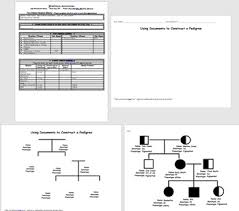 Entdecke rezepte, einrichtungsideen, stilinterpretationen und andere ideen zum ausprobieren. Draw A Pedigree Worksheets Teaching Resources Tpt
