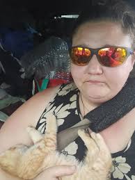 Lost cat near Warren Avenue in Dearborn Heights, MI?