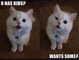 Some of theme are sad, grumpy, crying, cute, dank, hilarious and clean memes. Lolcats Kids Lol At Funny Cat Memes Funny Cat Pictures With Words On Them Lol Cat Memes Funny Cats Funny Cat Pictures With Words On