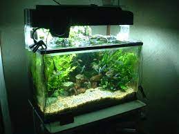 Freshwater fish tanks are inexpensive to set up and maintain, and there is an incredible array of fish available with which you can stock your new aquarium. Freshwater Aquarium Wikipedia