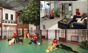 Dog boarding database contains a registry of dog boarding facilities anywhere in america. Luxury Pet Boarding Near Me Off 77 Www Usushimd Com