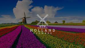 Check spelling or type a new query. Holland Flowers Home Facebook
