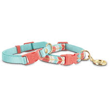 Bond Co 2 Pack Turquoise Coral Collars For Small Dogs Xs S Petco Small Dogs Coral Turquoise Dog Collars Leashes